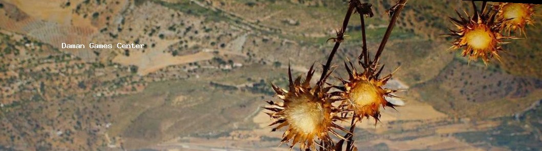 Gardenscapes Features in India Gardenscapes game features with Indian elements like rangoli and diyas