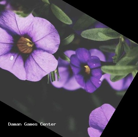 Gardenscapes Republic Day Event Gardenscapes Republic Day event with Indian flag